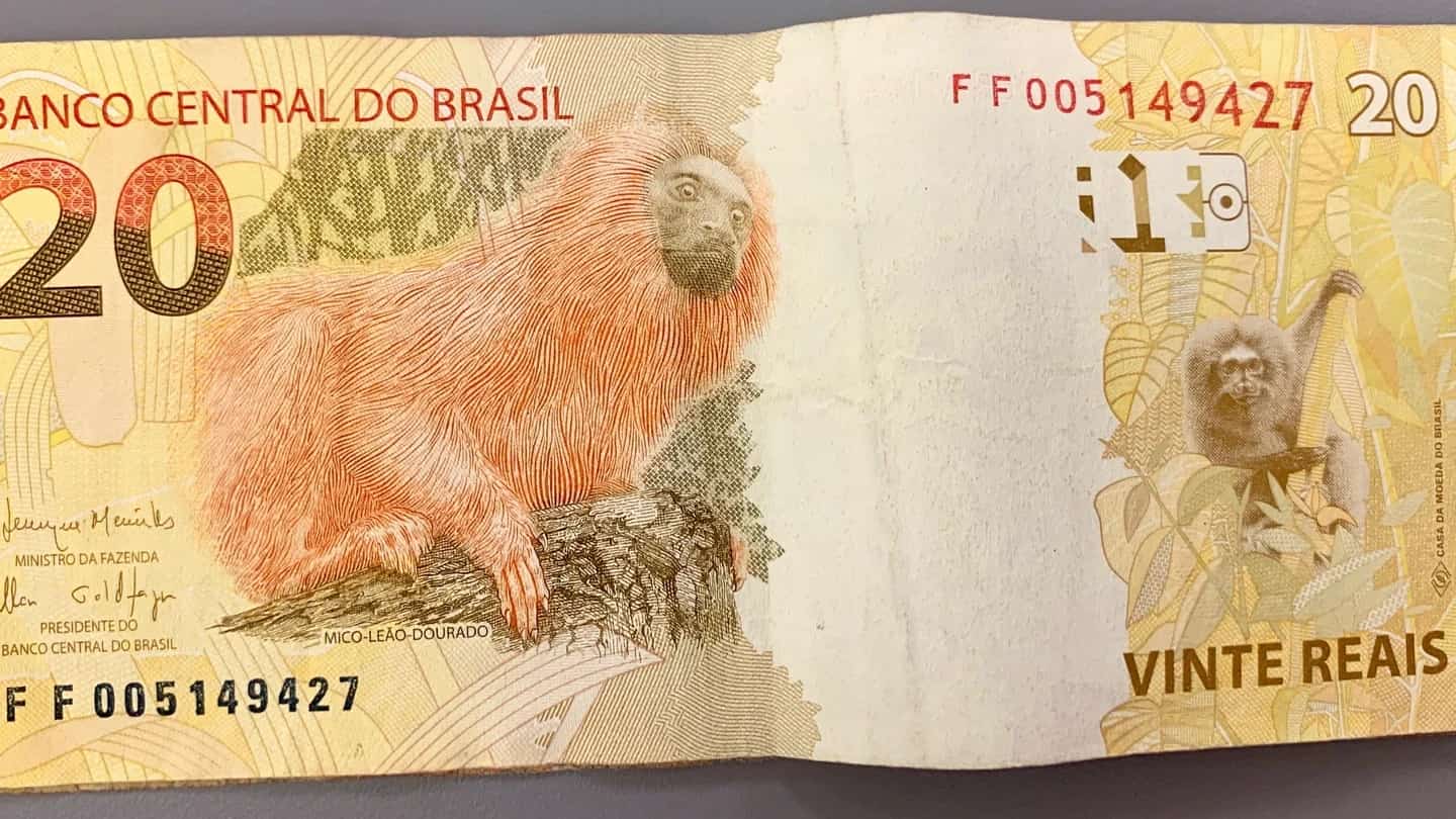 Cédula de 20 reais do Banco Central do Brasil, com a imagem do mico-leão-dourado.