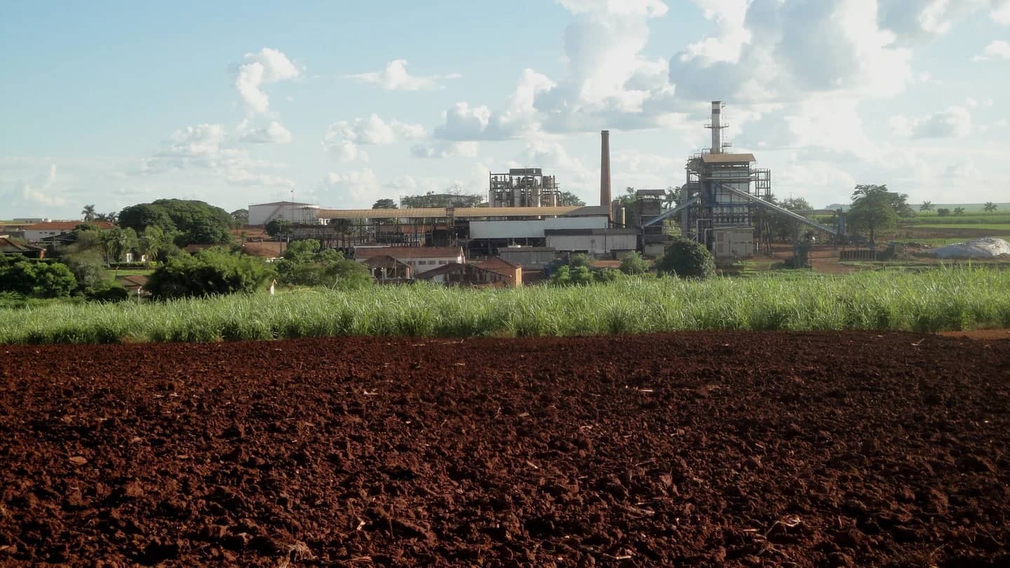 Canavial em primeiro plano com a destilaria de etanol Santa Inês ao fundo, em Sertãozinho (SP)