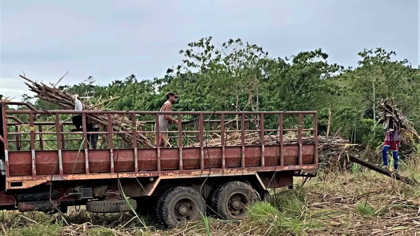 Caminhão carregado de cana-de-açúcar durante a colheita